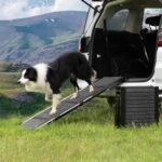 Dog Ramp for Car, SUV, Truck Foldable Car Ramp for Large Dogs, 63" L /71" L x 17.3" W Portable Pet Ramp with Non-Slip Rug Surface, Dog Stairs for Large Dogs (63" L x 17.3" W) - Image 2
