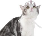 Lovelyshop Pet Series Pink Gem Rhinestone Dog/Cat Tiara Crown for Costume Hair Accessories -Small Size - Image 2