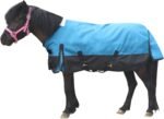 Mini Horse/Pony/Foal/Miniature Size 36"-51" Lightweight Waterproof & Breathable 1200 Denier Turnout Blanket with No Filling Peacockblue 36" - Image 2