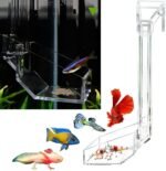 Shrimp Fish Feeding Dish, Aquarium -Sky Restaurant- Betta Feeding - Prevent Food Spilling, Fish Feeder, Also Easy to Clean Up The Food Left Over, African Feeding, Dwarf Frogs Feeding (M) - Image 2