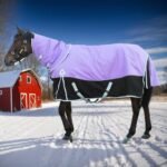 Violet Horse Blanket with Neck Cover for Mare | 1600 Denier Windproof | Waterproof Poly Blanket for Horses | (82IN) - Image 2