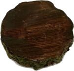 Small Reptile Food Dish, 2 Pack Reptile Feeding Food Bowls for Bearded Dragon Gecko Lizard Frog Hermit Crab Snail Toad - Image 6