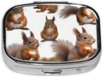 Square Pill Case 2 Compartment Cute Squirrels Pill Box Mini Medicine Pill Organizer Portable Travel Pillbox for Pocket Purse Metal Pill Container for Vitamins Fish Oil Supplements - Image 4