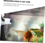 Yardwe 6pcs Automatic Shrimp Feeding Cups for Fish Tanks Plastic Shrimp Feeders with Suckers Ideal for Aquatic Feeding and Preventing Food Scattering - Image 3