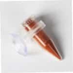 Yardwe 6pcs Automatic Shrimp Feeding Cups for Fish Tanks Plastic Shrimp Feeders with Suckers Ideal for Aquatic Feeding and Preventing Food Scattering - Image 8