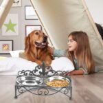 Elevated Pet Feeder for Small Dogs and Cats Double Stainless Steel Food and Water Bowls with Iron Fleur De Lis Stand（Black） - Image 5