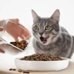 Nitial 2 Pcs Cat Slow Feeder Bowl Cat Fish Pool Design Feeder Cat Dish Fun Interactive Cat Food Bowl Feeder Healthy Eating Diet Cat Bowls for Pet Cats Puppy Dogs Dishwasher Safe(White) - Image 6