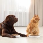 Nitial 2 Pcs Cat Slow Feeder Bowl Cat Fish Pool Design Feeder Cat Dish Fun Interactive Cat Food Bowl Feeder Healthy Eating Diet Cat Bowls for Pet Cats Puppy Dogs Dishwasher Safe(White) - Image 7