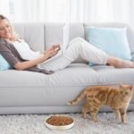 Nitial 2 Pcs Cat Slow Feeder Bowl Cat Fish Pool Design Feeder Cat Dish Fun Interactive Cat Food Bowl Feeder Healthy Eating Diet Cat Bowls for Pet Cats Puppy Dogs Dishwasher Safe(White) - Image 8