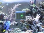 Robosnail Automatic Aquarium Glass Cleaner (Glass up to 3/8ths or 10mm ) - Image 7