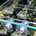 2PCS Fish Feeding Acrylic Floating Fish Food Feeding Ring Betta Goldfish Fish Feeding Ring for Aquarium Fish (L) - Image 5