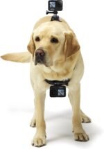 GoPro Fetch Dog Harness - Official GoPro Mount - Image 4