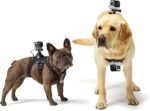 GoPro Fetch Dog Harness - Official GoPro Mount - Image 5