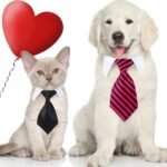 4 Pieces Cat Dog Tie with Collar Adjustable Puppy Pets Formal Necktie Collars Cat Dogs Bow Ties for Cat Small Dogs Grooming Costume Accessories - Image 4