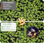 10 Pcs Aquarium Floating Plant Rings EVA Fish Feeding Ring Black Aquarium Feeding Ring for Intercepts Floating Plants and Feeding (Size 22cm/18cm/14.5cm/12cm/9 cm) - Image 5