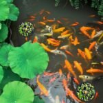 10 Pcs Aquarium Floating Plant Rings EVA Fish Feeding Ring Black Aquarium Feeding Ring for Intercepts Floating Plants and Feeding (Size 22cm/18cm/14.5cm/12cm/9 cm) - Image 6