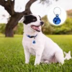 25 Pcs Colorful Pet Bells with Loud Crisp Sound, Cat Bells and Doag Collar Bells with Keyring, Anti-Lost Training Bells, Training Jingle Bell Collar Pendant, Charm Pet Pendant Accessories - Image 6