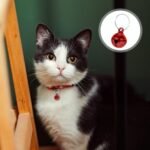25 Pcs Colorful Pet Bells with Loud Crisp Sound, Cat Bells and Doag Collar Bells with Keyring, Anti-Lost Training Bells, Training Jingle Bell Collar Pendant, Charm Pet Pendant Accessories - Image 7