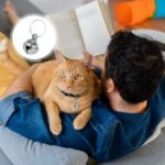 25 Pcs Colorful Pet Bells with Loud Crisp Sound, Cat Bells and Doag Collar Bells with Keyring, Anti-Lost Training Bells, Training Jingle Bell Collar Pendant, Charm Pet Pendant Accessories - Image 8