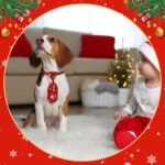 120 Pcs Christmas Theme Dog Bow Tie Collar Set Includes 60 Fruit Bow Ties for Dogs Dog Grooming Bowtie 30 Dog Neckties 30 Large Bow Tie Collar PET Holiday Accessories for Dog Cat - Image 6