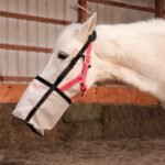 Majestic Ally Horse Feed Bag, Heavy Duty Nylon Mesh Grain Feed Bag, Adjustable Strap with Durable Snap and Elastic Straps, Comfort Neck Pad and Nose Pad- Large (Full, Dark Gray) - Image 8