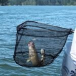 Goture Fishing Folding Landing Net Fishing Nets for Fish with Long Aluminum Handle, Telescoping Pole Handle for Saltwater & Freshwater, Easy Catch & Release, Extending to 70.8/82.7 - Image 8