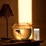 Mipcase Fish Food Containers 2pcs Feeding Bottle Dispenser Container Small Animals Feeding Bottles White Terrarium Plastic Round Fish Tank Aquarium Feeding Bottles - Image 4