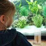 Mipcase Fish Food Containers 2pcs Feeding Bottle Dispenser Container Small Animals Feeding Bottles White Terrarium Plastic Round Fish Tank Aquarium Feeding Bottles - Image 10