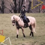 Kavallerie Classic Bandage for Horses, Distributes Pressure Evenly Therapeutic Breathable Fleece Material, Stretchy, Provides, Leg Protection and Support - White - (4 Units per Pack) - Image 8