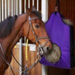 HIRQUITICKE 4 Pack Premium Durable Horse Slow Feed Hay Bag with Metal Snap Fastener and Heavy Adjustable Strap (4 Pack Purple) - Image 4