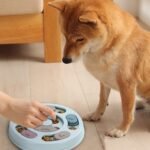 Dog Puzzle Toys,Dogs Food Puzzle Feeder Toys for IQ Training & Mental Enrichment,Dog Treat Puzzle(Blue) - Image 7