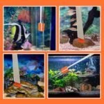 1pcs Small Aquarium Cleaning Tool, Algae Scraper for Fish Tank, Aquarium Brush, Fish Tank Cleaner Adapted for Glass and Acrylic Aquariums - Image 7