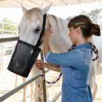 Horse Feed Bag Grain, Horse Mussel Mesh Bag with Adjustable Strap Comfort Neck & Nose Pad Waterproof Bottom(Black 2P) - Image 3