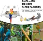 Bird Feeder for Cage,Transparent Bird Feeders, Bird Feeder with Anti-Slip Stand, Stainless Steel Bird Bowls Parakeet Feeder,for Parakeet, Psittacus Erithacus, Lovebirds,Budgies - Image 5