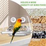 Bird Feeder for Cage,Transparent Bird Feeders, Bird Feeder with Anti-Slip Stand, Stainless Steel Bird Bowls Parakeet Feeder,for Parakeet, Psittacus Erithacus, Lovebirds,Budgies - Image 6