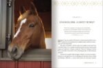 Fields of Grace: Sharing Faith from the Horse Farm - Image 3