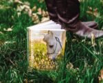 Fields of Grace: Sharing Faith from the Horse Farm - Image 8