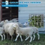 Hay Feeder Goat, 24.4 x 20.8 x 12.6 Multiple Sided Goat Hay Rack, Heavy Duty Galvanized Metal Wall Hay Rack for Sheep Horses, etc(Silver) - Image 7