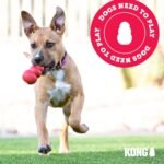 KONG Puppy - Natural Teething Rubber Chew Toy for Dogs - Stuffable Dog Toy for Extended Playtime - Chew & Fetch Toy for Puppies - for Medium Puppies - Pink - Image 8
