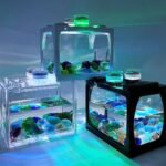 Mini Aquarium Box, Small Betta Fish Multifunctional USB Rechargeable Fish Tank with LED Light Lamp Reptile Feeding Box Building Block Fish Bowl Home Decor LED Light Feeding Box(Black) - Image 4