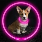 Led Dog Collar, BSEEN USB Rechargeable Flash Dog Necklace Light, Pet Safety Collar Makes Your Beloved Dogs Be Seen at Night for Small Medium Large Dogs(Pink) - Image 4