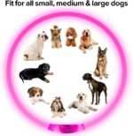 Led Dog Collar, BSEEN USB Rechargeable Flash Dog Necklace Light, Pet Safety Collar Makes Your Beloved Dogs Be Seen at Night for Small Medium Large Dogs(Pink) - Image 7
