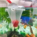WEAVERBIRD 4PCS Aquarium Nematode Feeder, Live Blood worm Plastic Cone Cup Shape Basket Feeder for Feeding Fish with Suckers - Image 7
