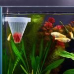 WEAVERBIRD 4PCS Aquarium Nematode Feeder, Live Blood worm Plastic Cone Cup Shape Basket Feeder for Feeding Fish with Suckers - Image 8