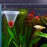 WEAVERBIRD 4PCS Aquarium Nematode Feeder, Live Blood worm Plastic Cone Cup Shape Basket Feeder for Feeding Fish with Suckers - Image 9