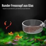 Aquarium Shrimp Feeder Dish with Suction Glass Fish Tank Feeding Bowls, Round Clear Dishes Tray, Non-Toxic, Safe, Dense, Smooth, Long-Term Use, 6 Pieces - Image 4