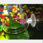 Aquarium Shrimp Feeder Dish with Suction Glass Fish Tank Feeding Bowls, Round Clear Dishes Tray, Non-Toxic, Safe, Dense, Smooth, Long-Term Use, 6 Pieces - Image 7