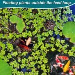 5pcs Aquarium Floating Plant Rings, Foam Floating Plant Corral Flower Shaped Betta Fish Feeding Rings Fish Tank Duckweed Food Ring for Intercepting Floating Plants (Black) - Image 5