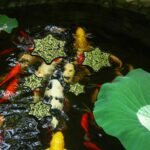 5pcs Aquarium Floating Plant Rings, Foam Floating Plant Corral Flower Shaped Betta Fish Feeding Rings Fish Tank Duckweed Food Ring for Intercepting Floating Plants (Black) - Image 7