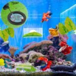 Betta Fish Tank Accessories, 2pcs Betta Tunnel & 2pcs Betta Fish Leaf & Round Fish Feeding Ring Fish Toys Betta Fish Natural Habitat Shelter Hideaway Betta Fish Tank Decorations - Image 6